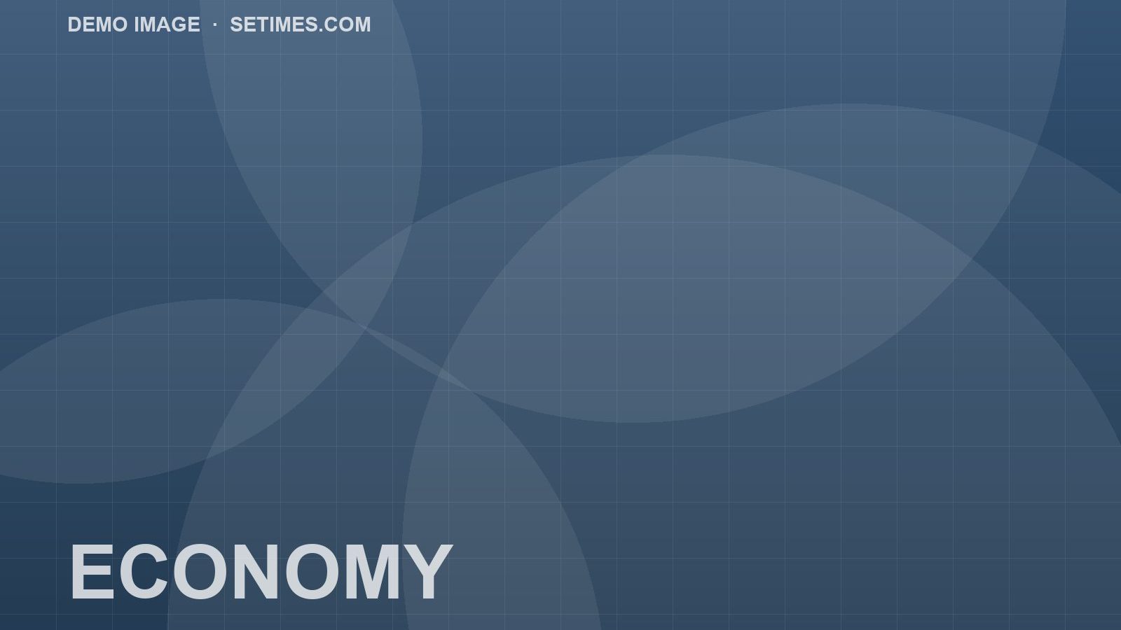 Demo illustration: Euro adoption timetable puts pressure on public finances